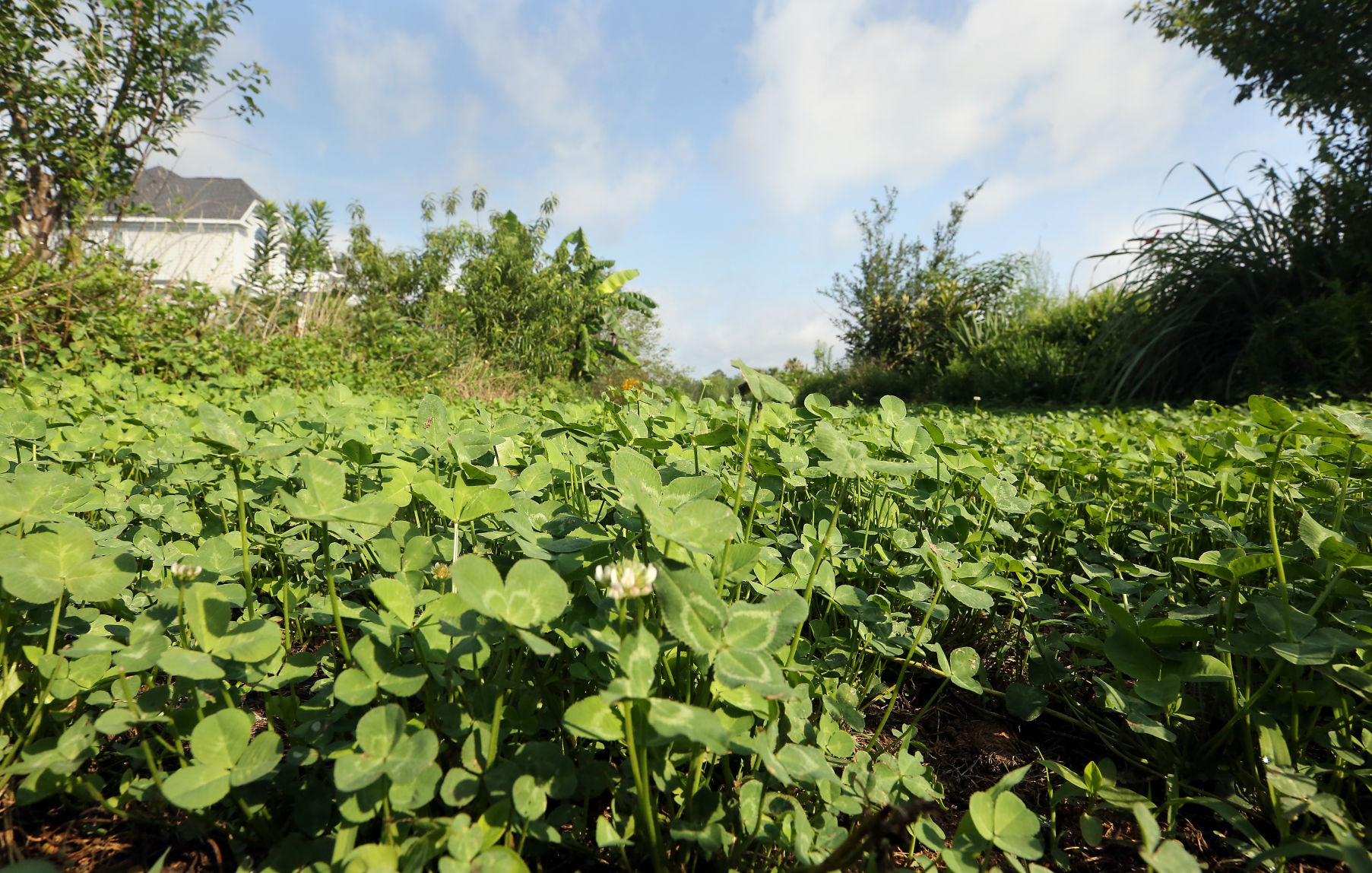 Permaculture
